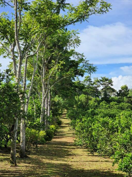 Hospedaje Finca Agroturistica Dona Rufa Rio Sereno Eksteriør bilde