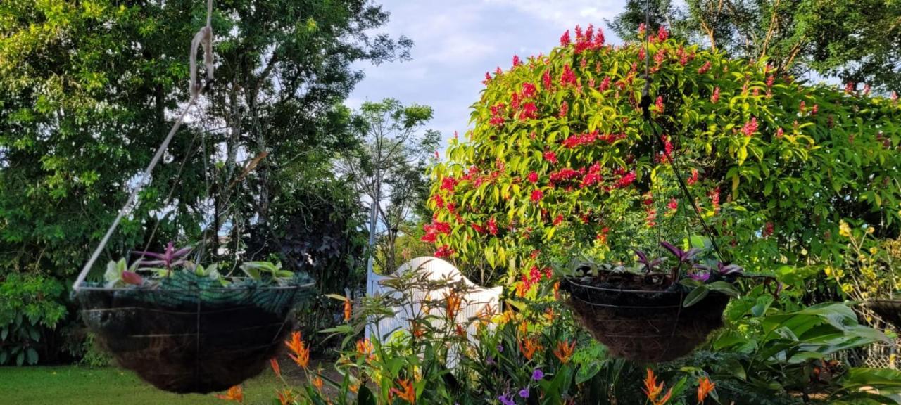 Hospedaje Finca Agroturistica Dona Rufa Rio Sereno Eksteriør bilde