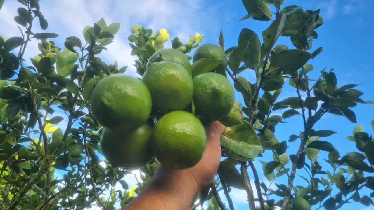 Hospedaje Finca Agroturistica Dona Rufa Rio Sereno Eksteriør bilde