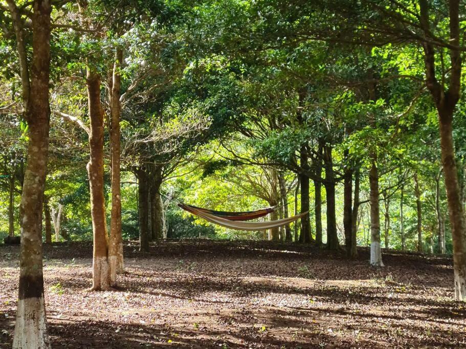 Hospedaje Finca Agroturistica Dona Rufa Rio Sereno Eksteriør bilde
