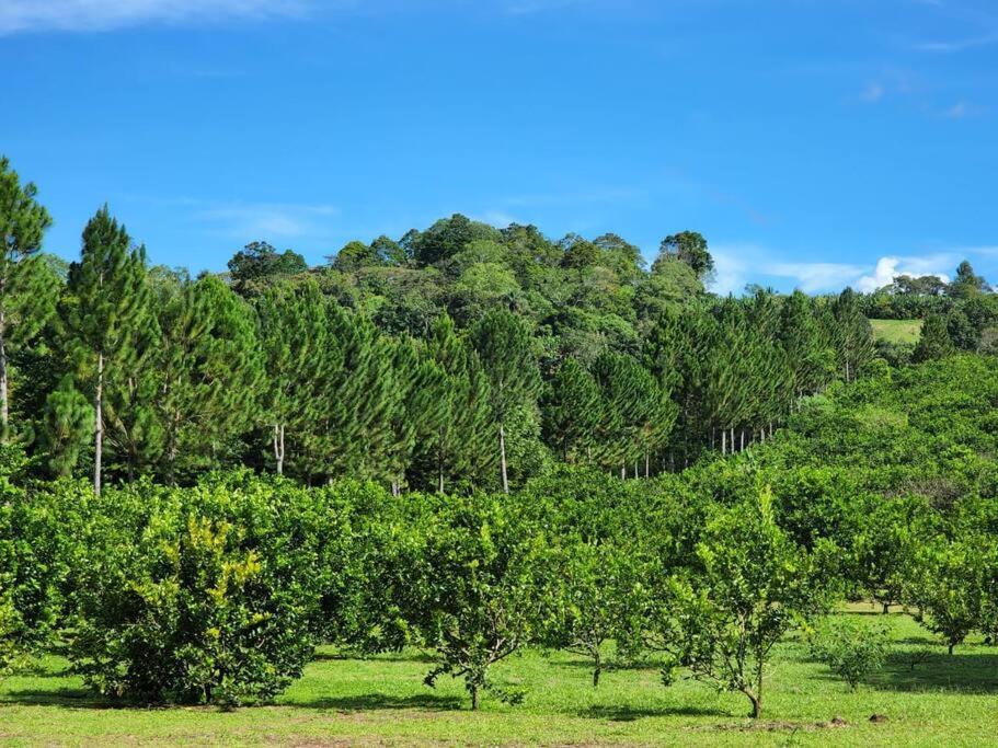 Hospedaje Finca Agroturistica Dona Rufa Rio Sereno Eksteriør bilde