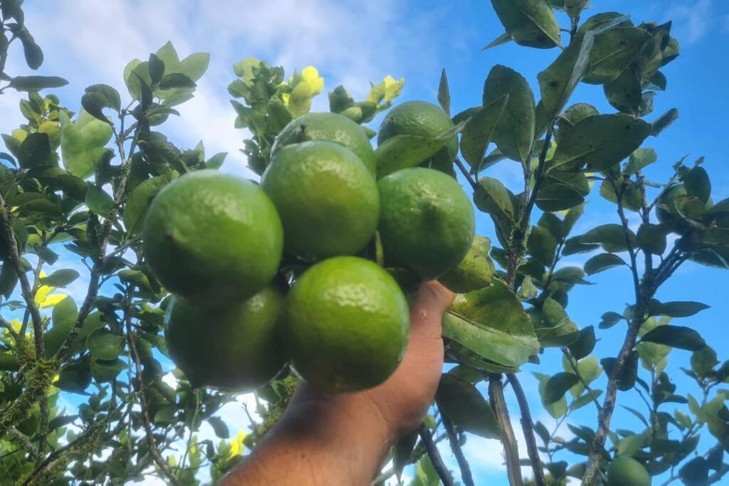Hospedaje Finca Agroturistica Dona Rufa Rio Sereno Eksteriør bilde