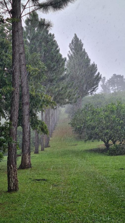 Hospedaje Finca Agroturistica Dona Rufa Rio Sereno Eksteriør bilde