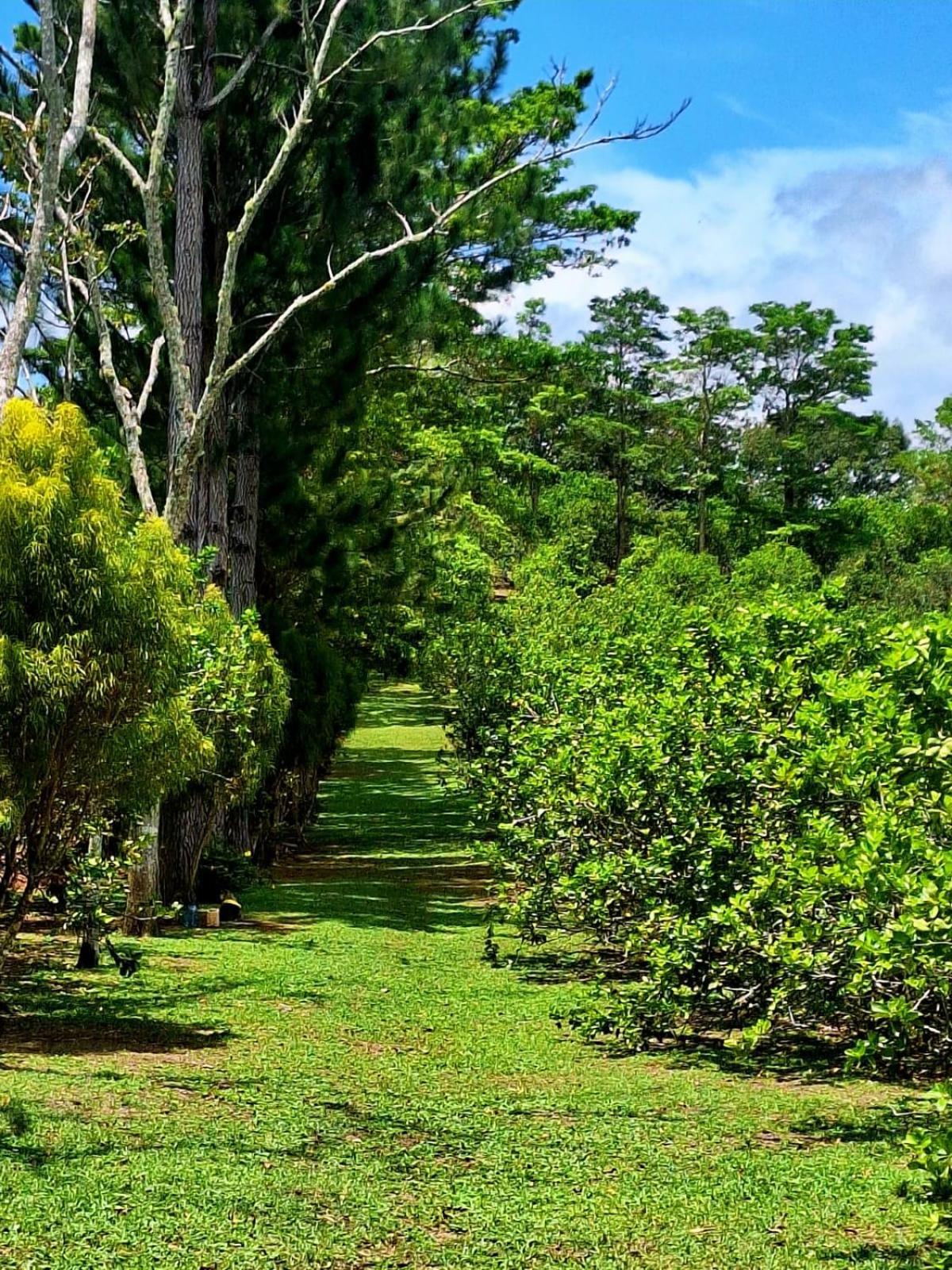 Hospedaje Finca Agroturistica Dona Rufa Rio Sereno Rom bilde